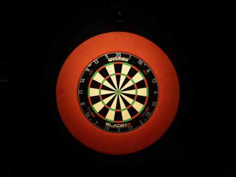 Winmau Dartboard